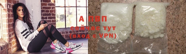 соль ск Няндома
