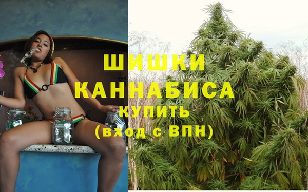 гидра Новокубанск