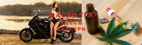 прущие грибы Чекалин